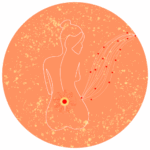 menopause bouffees de chaleur suées nocturnes